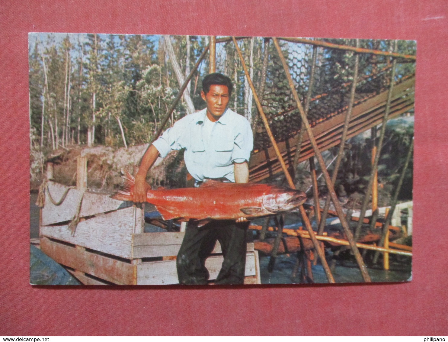 Fish Wheel Fishing At Fort Yukon Alaska     Ref 3739 - Fishing