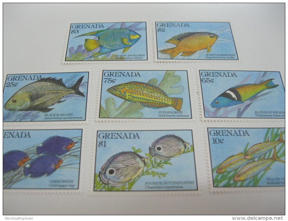 Grenada-Fish-Marine Life - Fische