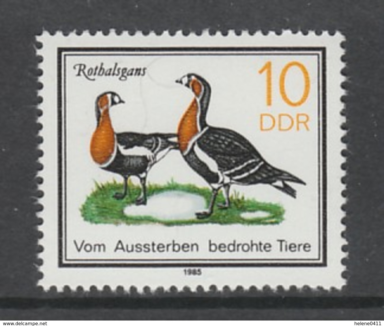 TIMBRE NEUF D'ALLEMAGNE ORIENTALE - BRANTA RUFICOLLIS (BERNACHE A COU ROUX) N° Y&T 2577 - Canards