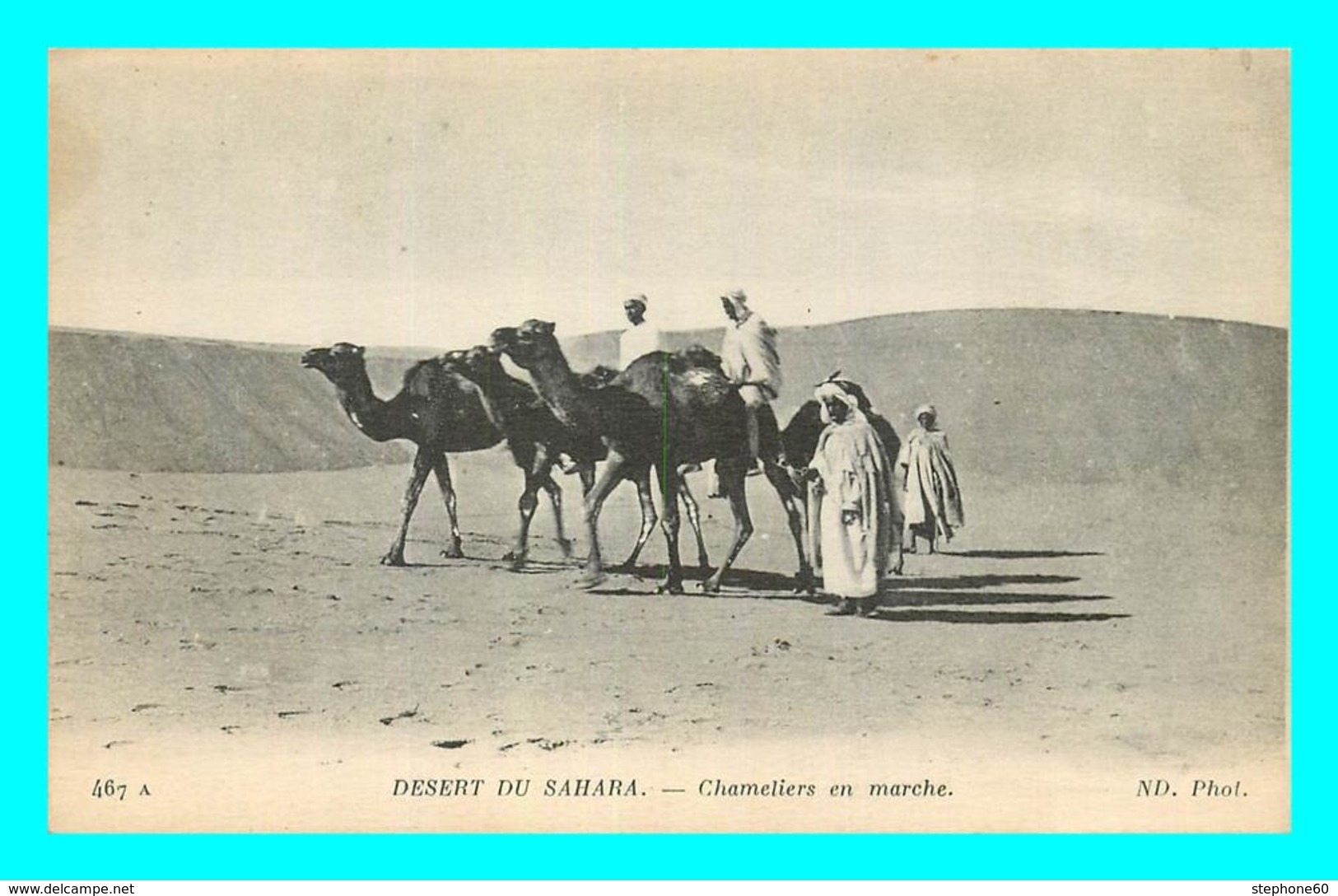 A773 / 235   Desert Du SAHARA  Chameliers En Marche ( Chameau ) - Sahara Occidental