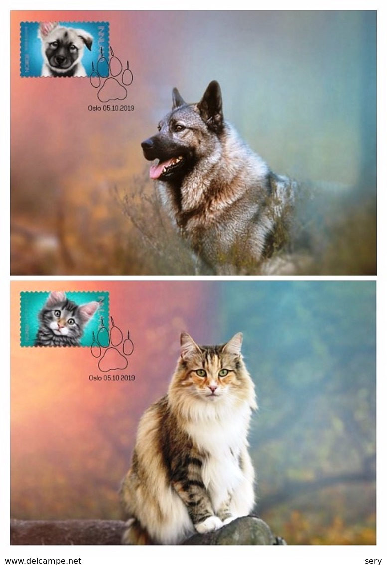 Norway 2019 Set 2 MC Maximum Card Precious Pets Dogs Dog Chiens Chien Cats Cat Chat Chats - Domestic Cats
