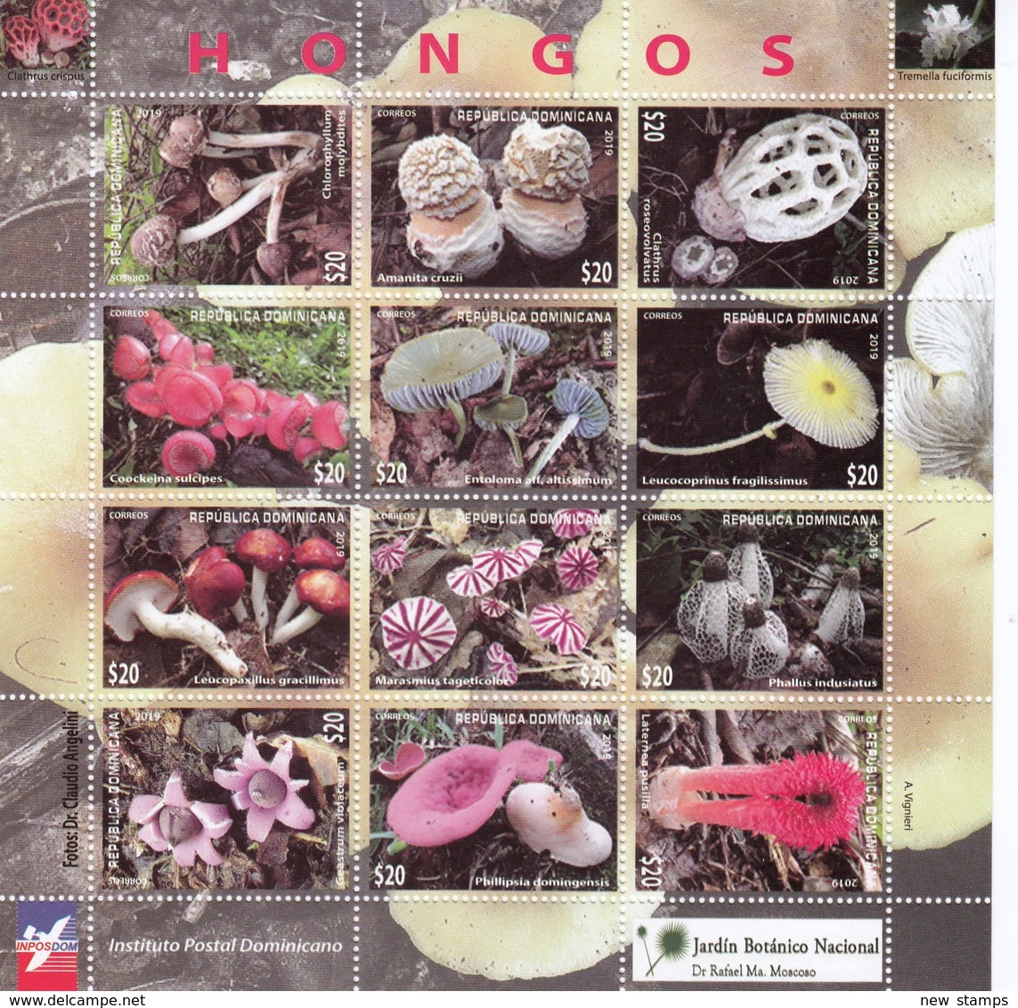 Dominican Republic 2019 Flora Mushrooms Minisheet MNH - Mushrooms