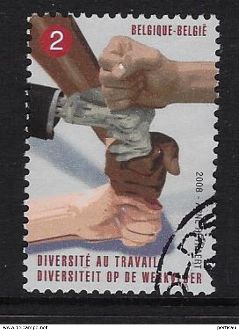 Diversiteit 2008 - Used Stamps