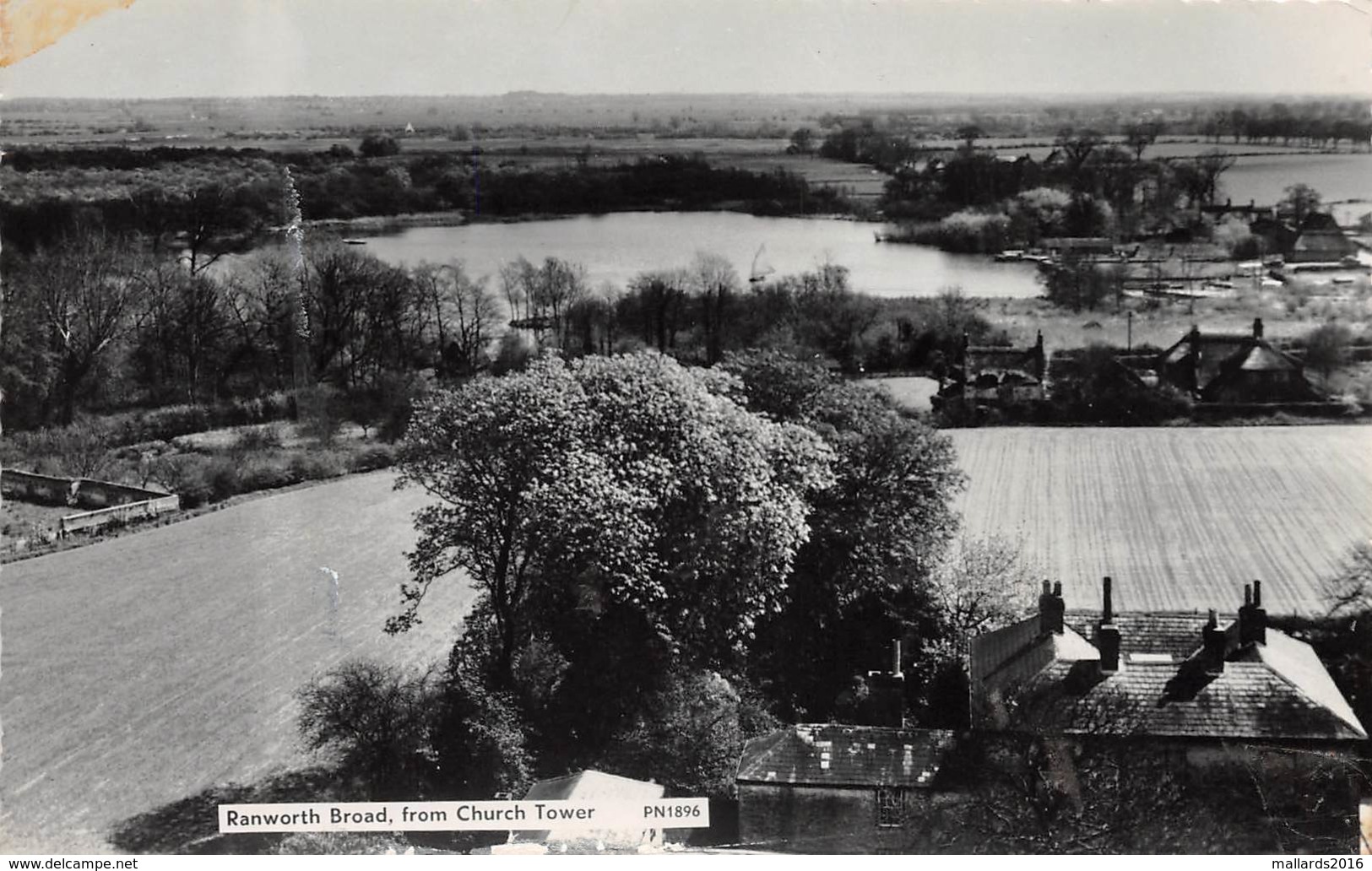 WOODBASTWICK RANWORTH BROAD FROM CHURCH TOWER AN OLD REAL PHOTO POSTCARD #98908 - Other & Unclassified