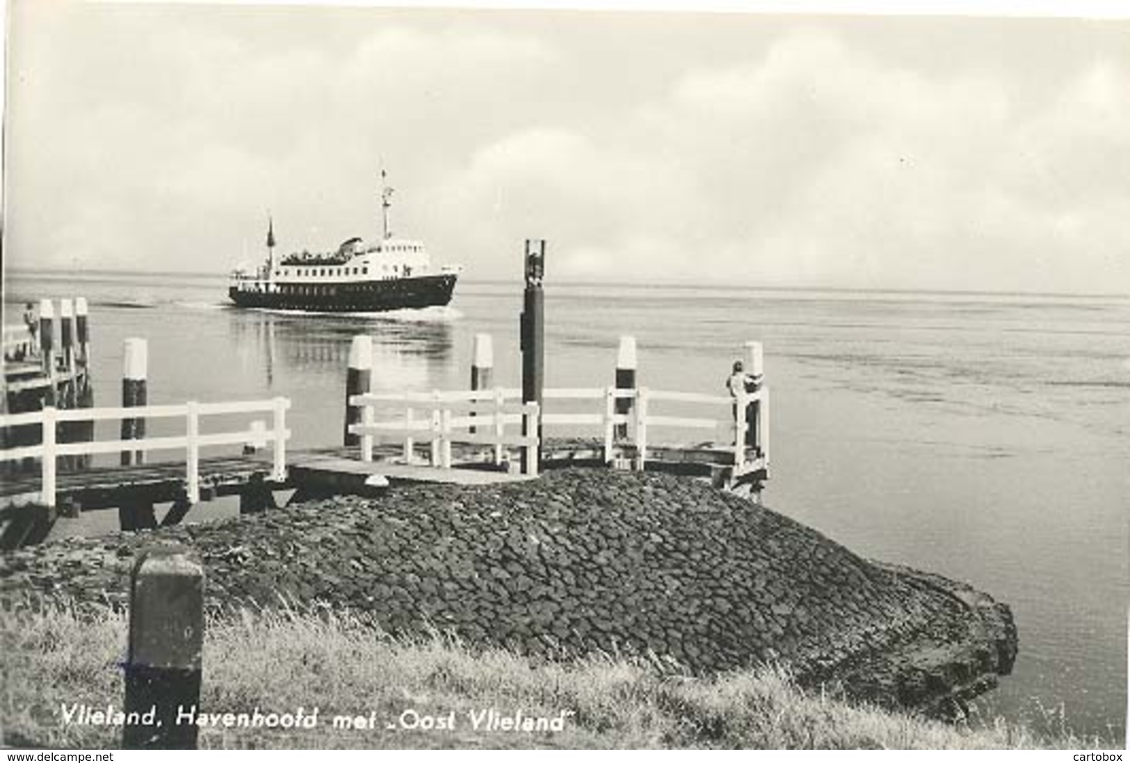 Vlieland, Havenhoofd Met  " Oost Vlieland "   (type Fotokaart) - Vlieland