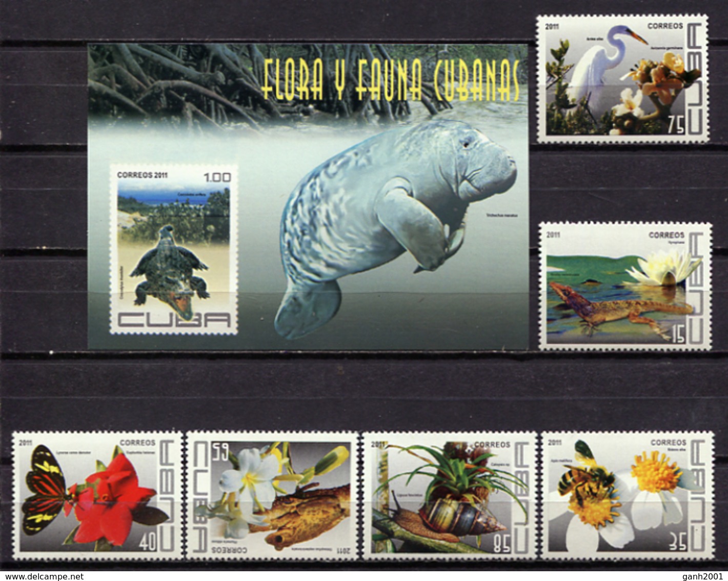 Cuba 2011 / Flowers Animals MNH Fauna Flores Blumen / Cu14217  41-27 - Otros & Sin Clasificación