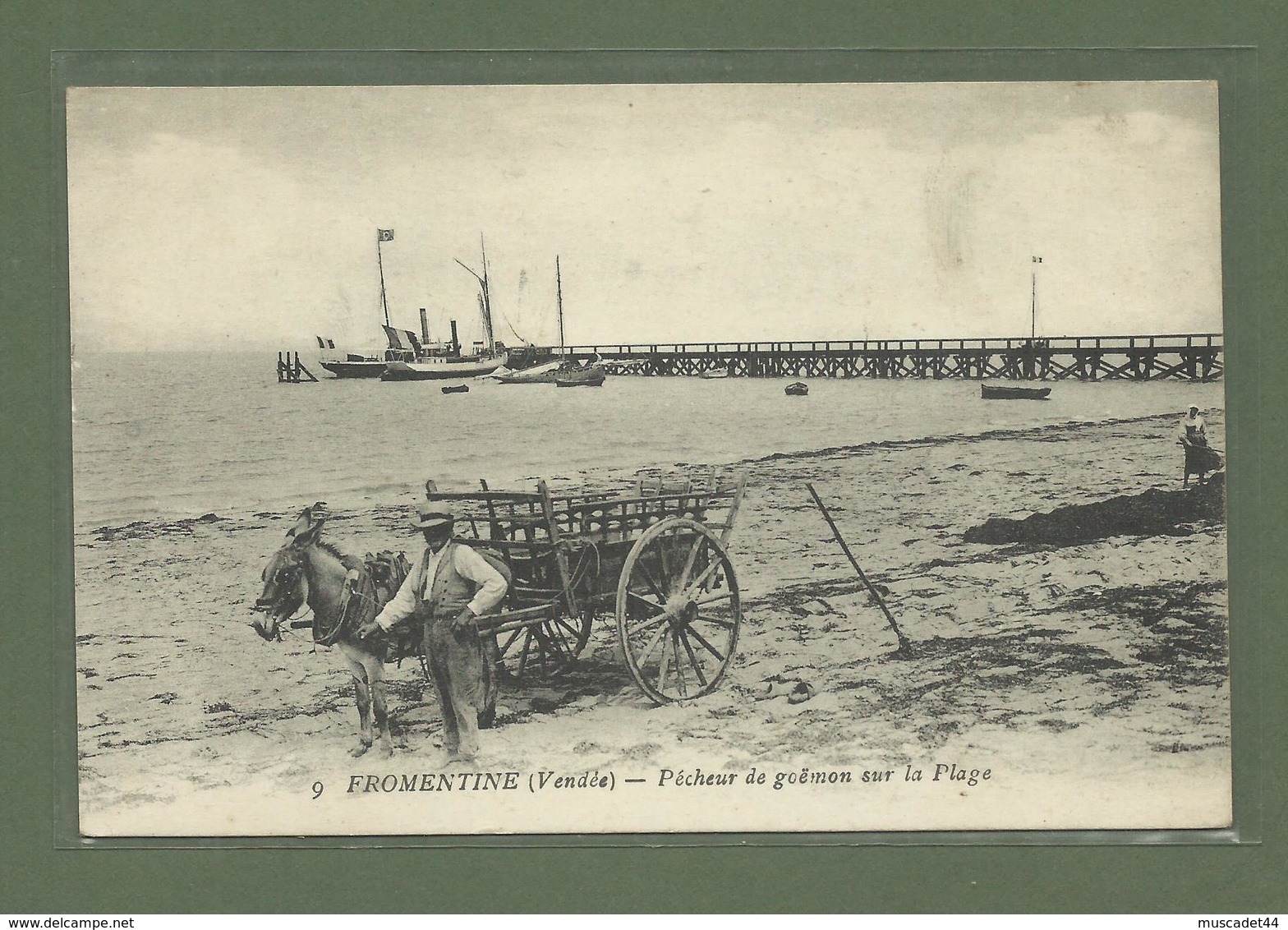 CARTE POSTALE VENDEE 85 FROMENTINE PECHEUR DE GOEMON SUR LA PLAGE - Autres & Non Classés