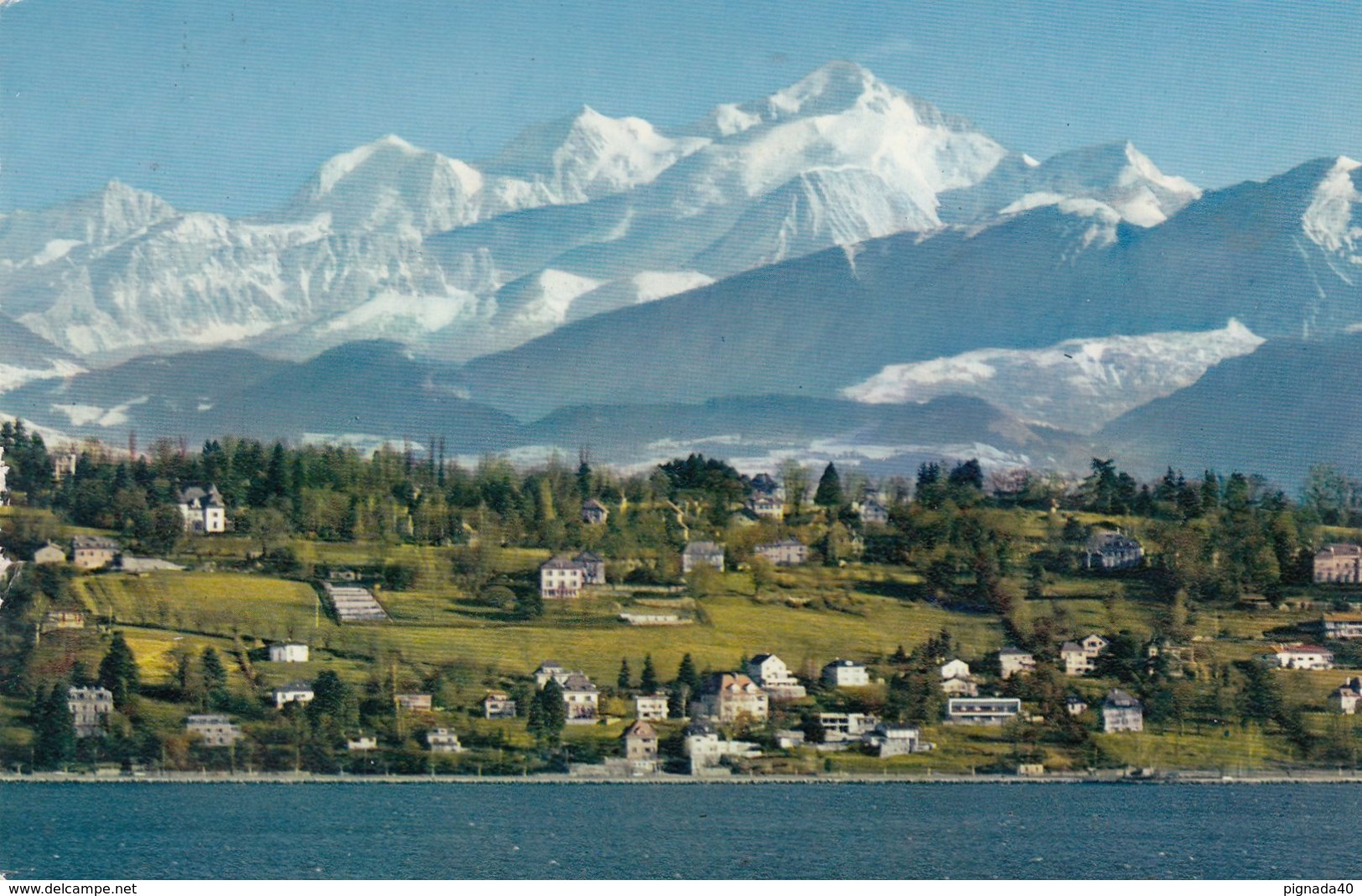 Cp , SUISSE , GENÈVE , Le Mont-Blanc (4810 M.) Et Le Coteau De Cologny - Cologny