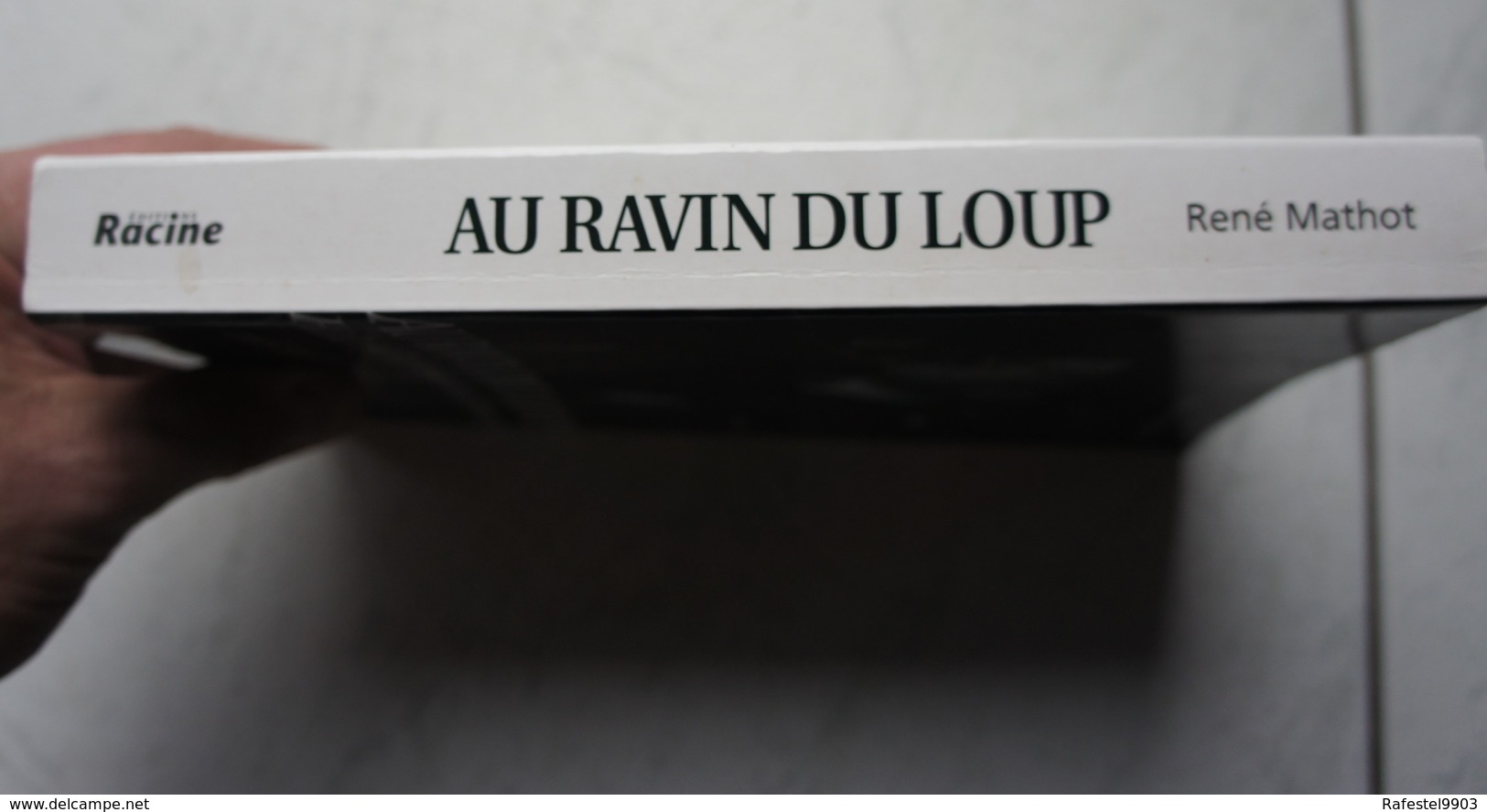 Livre HITLER Au Ravin Du Loup Brüly De Pesche Région Couvin Chimay Hainaut - Autres & Non Classés