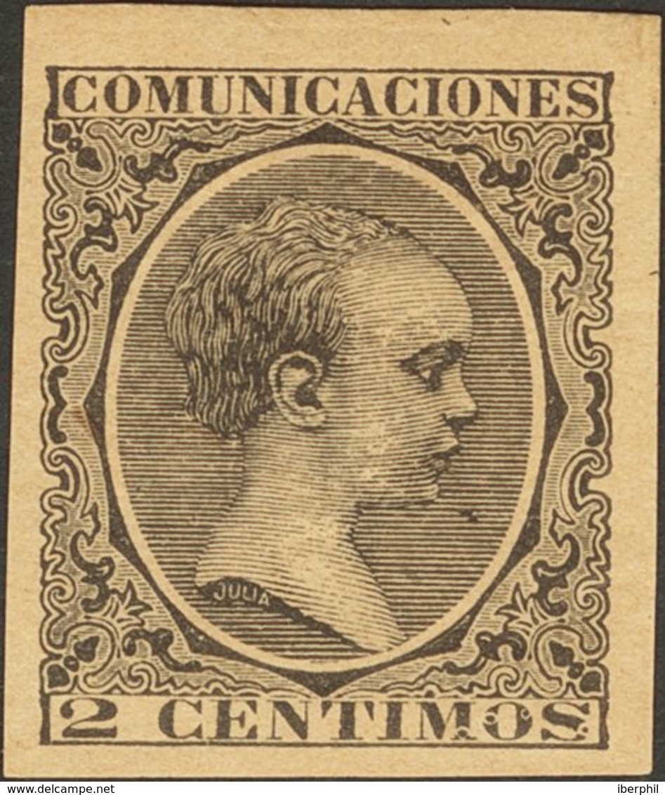 *214s. 1889. 2 Cts Negro. SIN DENTAR. MAGNIFICO. - Autres & Non Classés