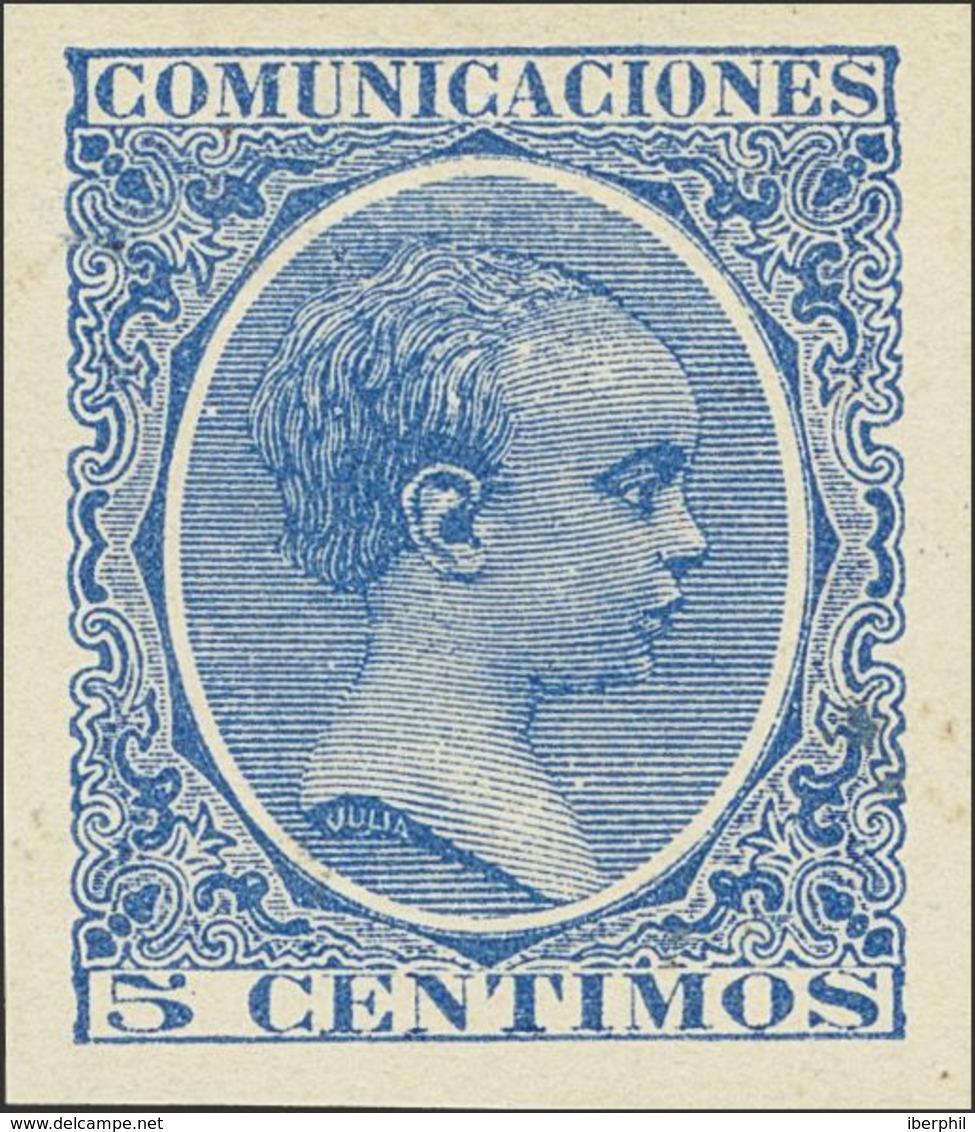 (*)215s. 1889. 5 Cts Azul. SIN DENTAR. MAGNIFICO. Edifil 2020: 85 Euros - Autres & Non Classés