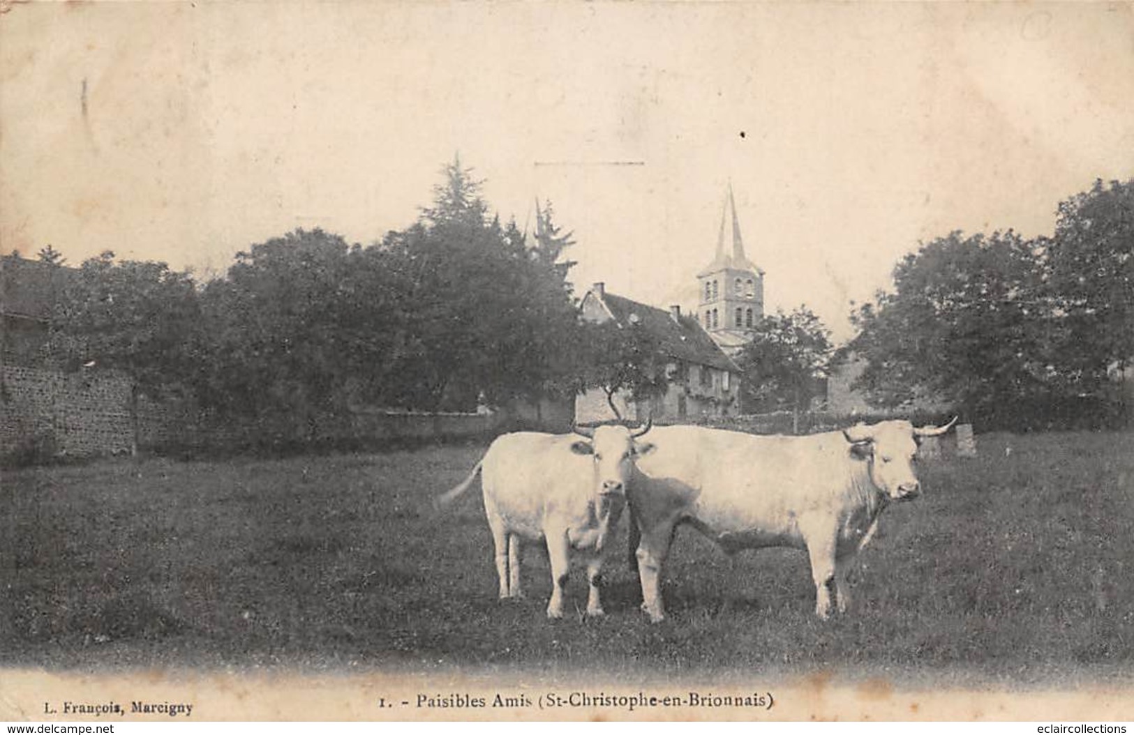 St Christophe En Brionnais             71          Paisibles Amis   (2 Vaches Dans Un Champ)       (voir Scan) - Sonstige & Ohne Zuordnung