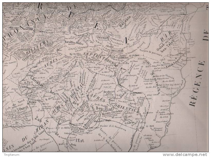 ALGERIE- CARTE GEOGRAPHIQUE DES TRIBUS D'ALGERIE - Non Classificati