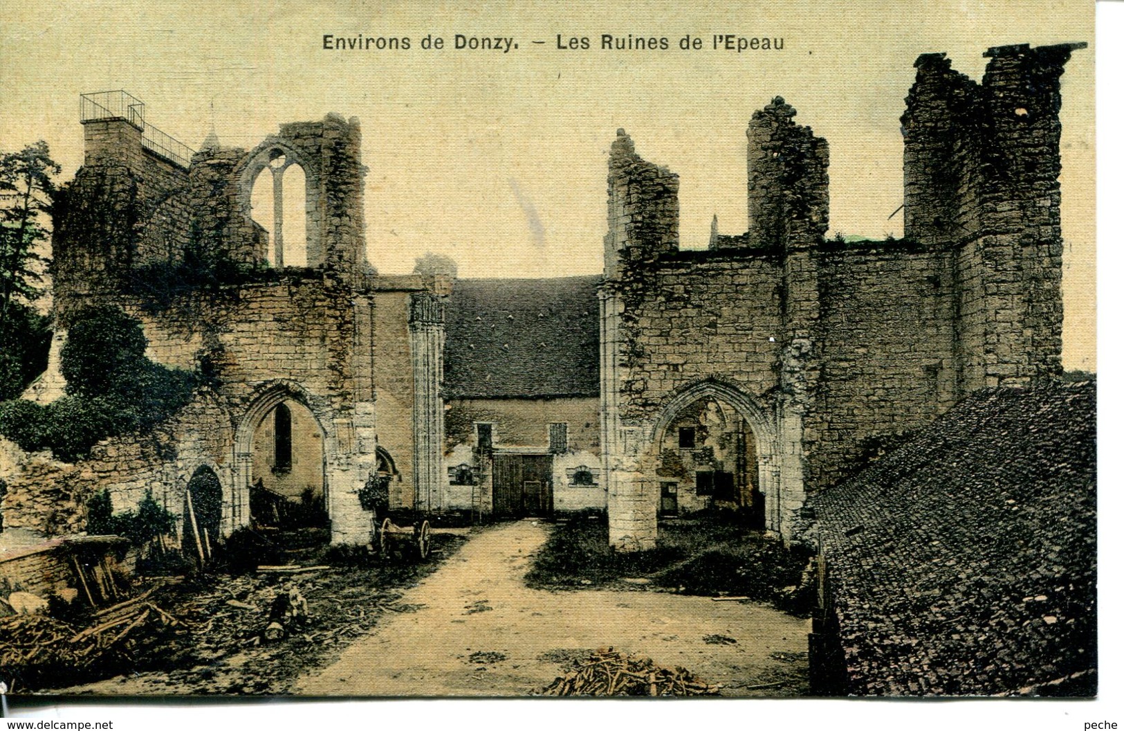 N°76980 -cpa Environs De Donzy -les Ruines De L'Epeau- - Autres & Non Classés