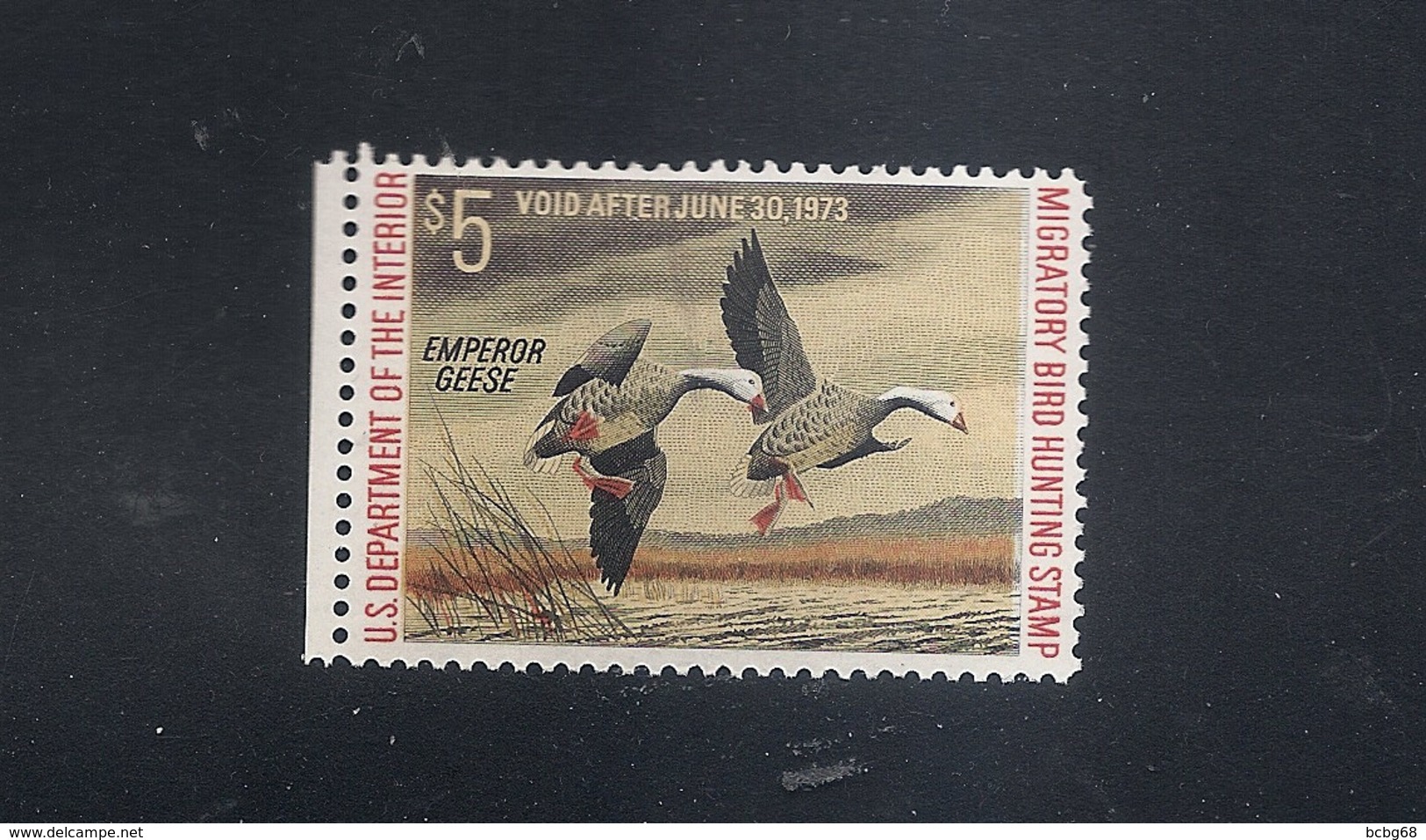 USA Duck Hunting Permit - 1972 - Emporer Geese RW39 MNH - Duck Stamps