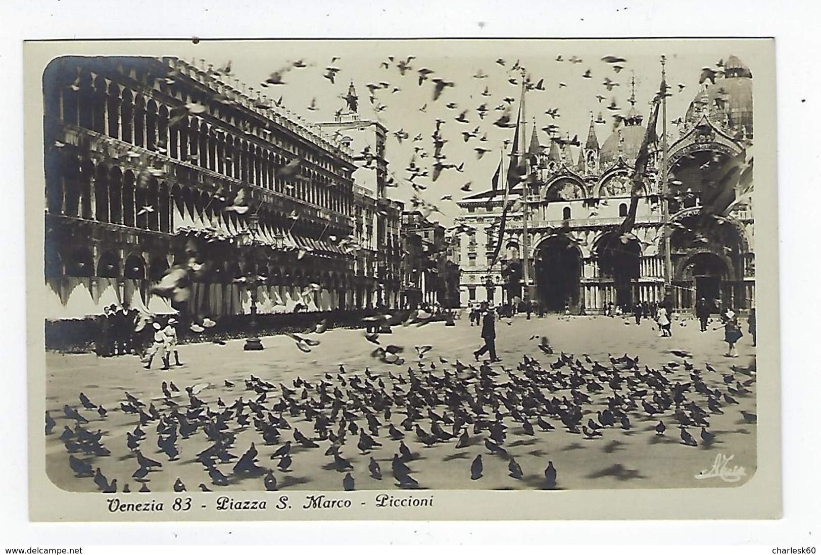 CPA - Venise - Venezia - Piazza S. Marco - Piccioni - Carte Photo - Photographie - Photo - Venezia