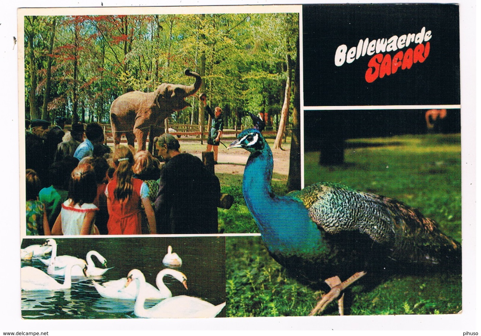 B-7469   ZILLEBEKE : Safari Bellewaarde ( Zoo, Dierentuin ) - Ieper