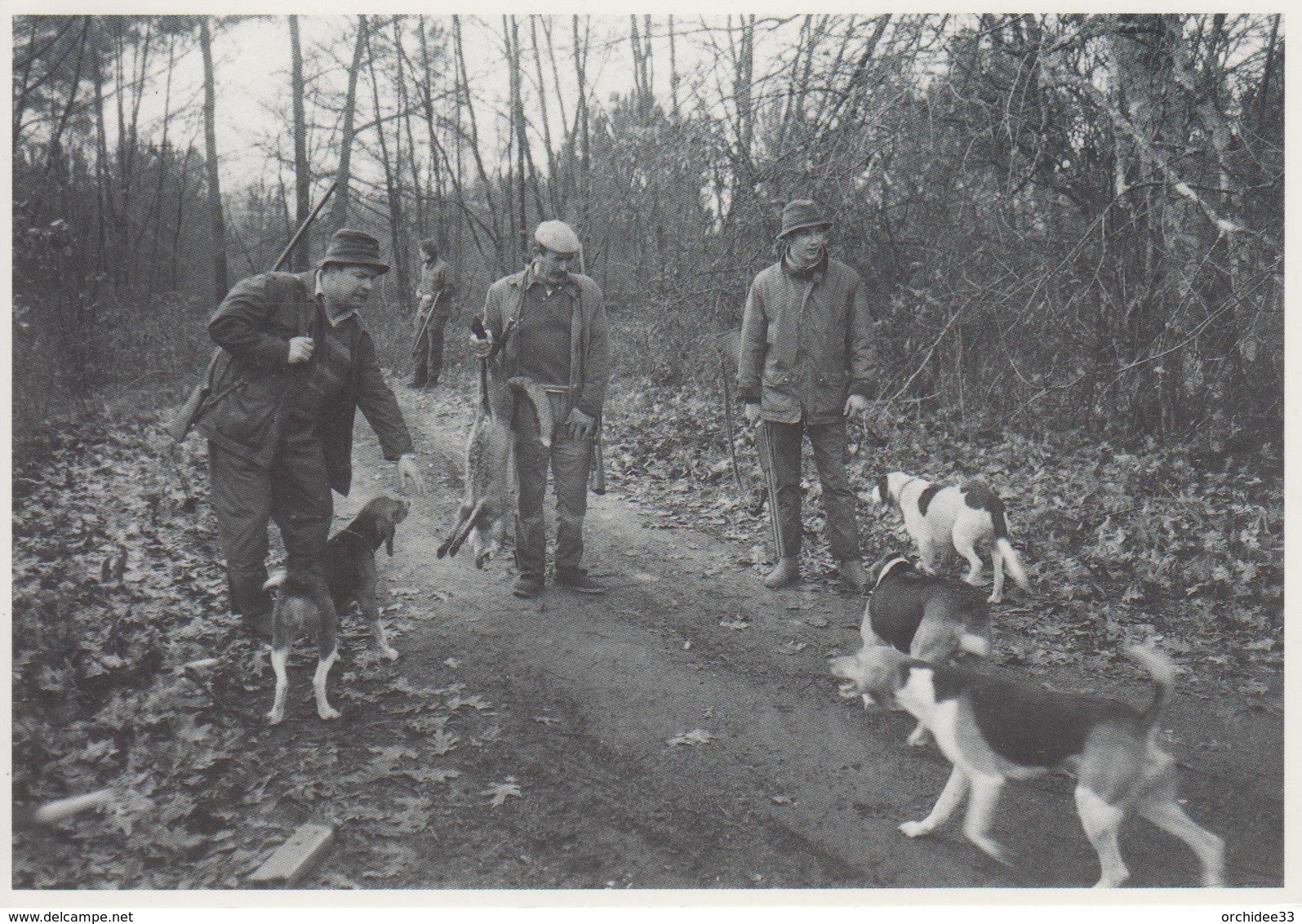 CPSM Canéjan - Une Partie De Chasse - La Chasse Au Renard - Autres & Non Classés