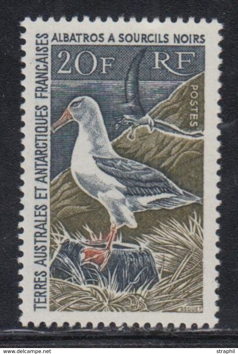 ** T.A.A.F - ** - N°24 - 20F - Albatros - TB - Unused Stamps
