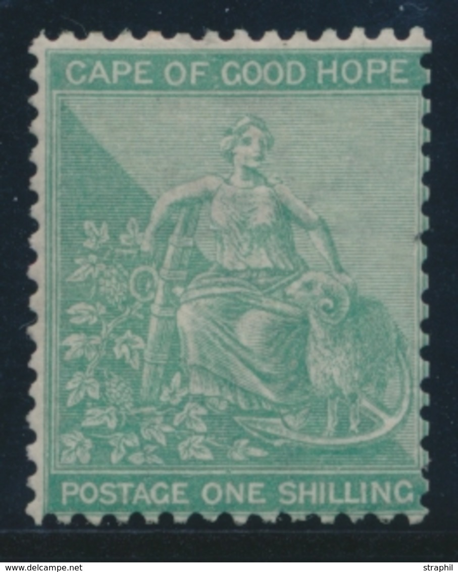 * CAP DE BONNE ESPERANCE - * - N°17 - 1sh Vert Avec Filet D'encadrement - TB - Cape Of Good Hope (1853-1904)