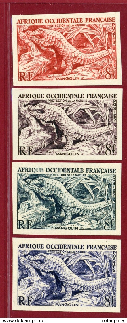 French West Africa 1955 #63, Color Proof X5, Pangolin, Animal - Other & Unclassified