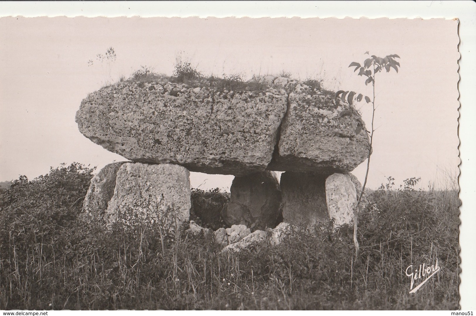 ROULLET - CPSM : Dolmen De La Boucharderie - Autres & Non Classés