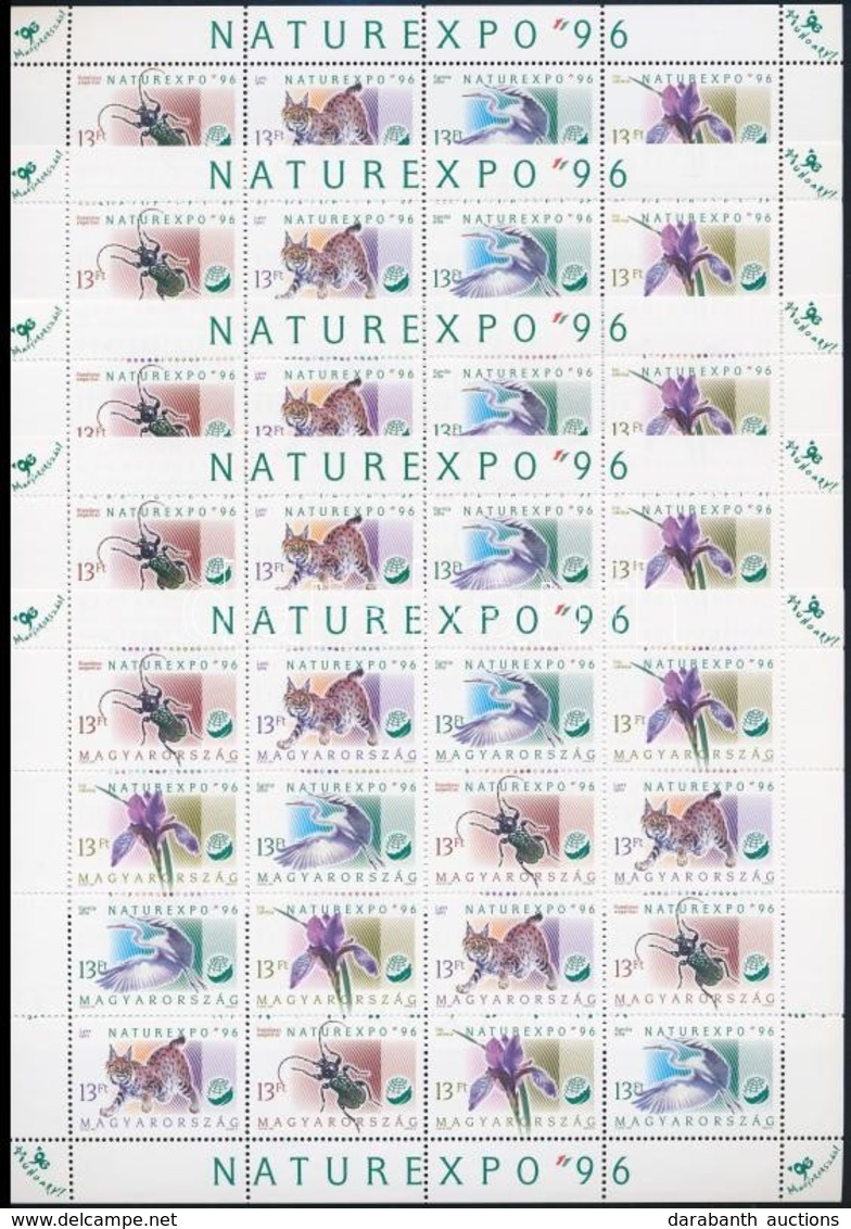 ** 1996 NATUREXPO 5 Db Teljes ív (12.500) - Other & Unclassified