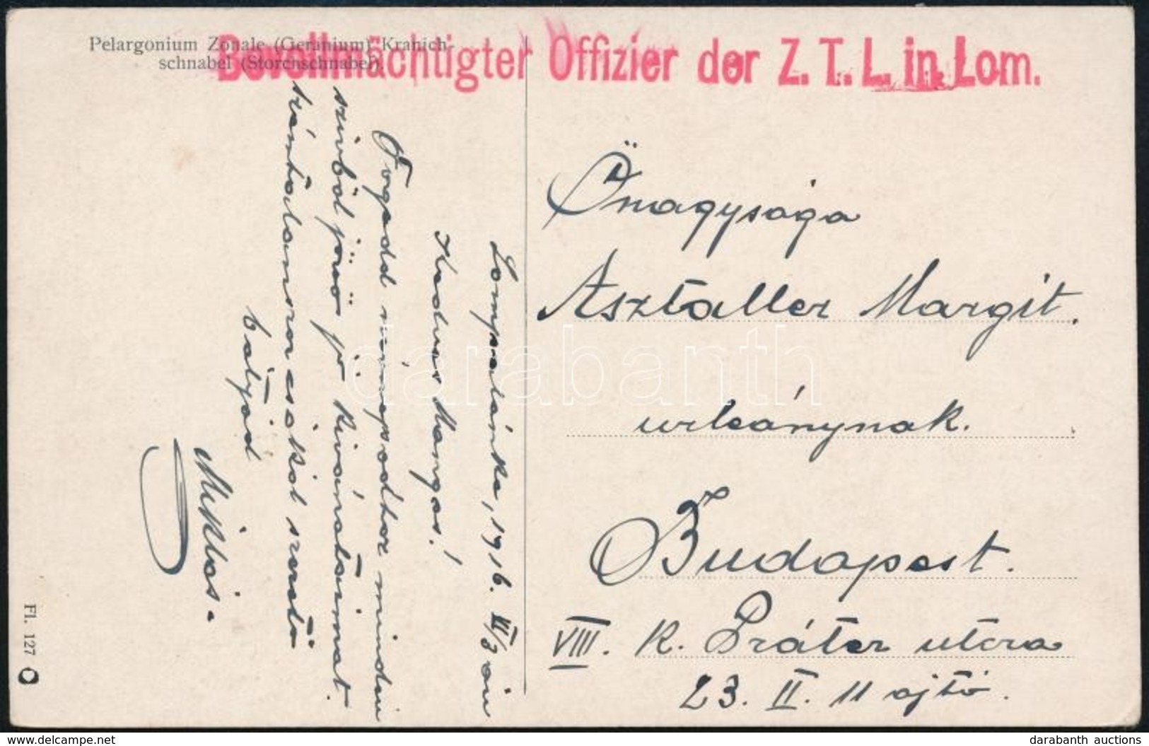 1916 Tábori Posta Képeslap 'Bevollmächtigter Offizier Der Z.T.L. In Lom.' - Other & Unclassified