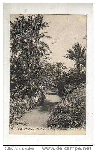 Cp, Tunisie, Tozeur (Djerid), L'Oued Et Les Palmiers, Voyagée 1911 - Tunisie