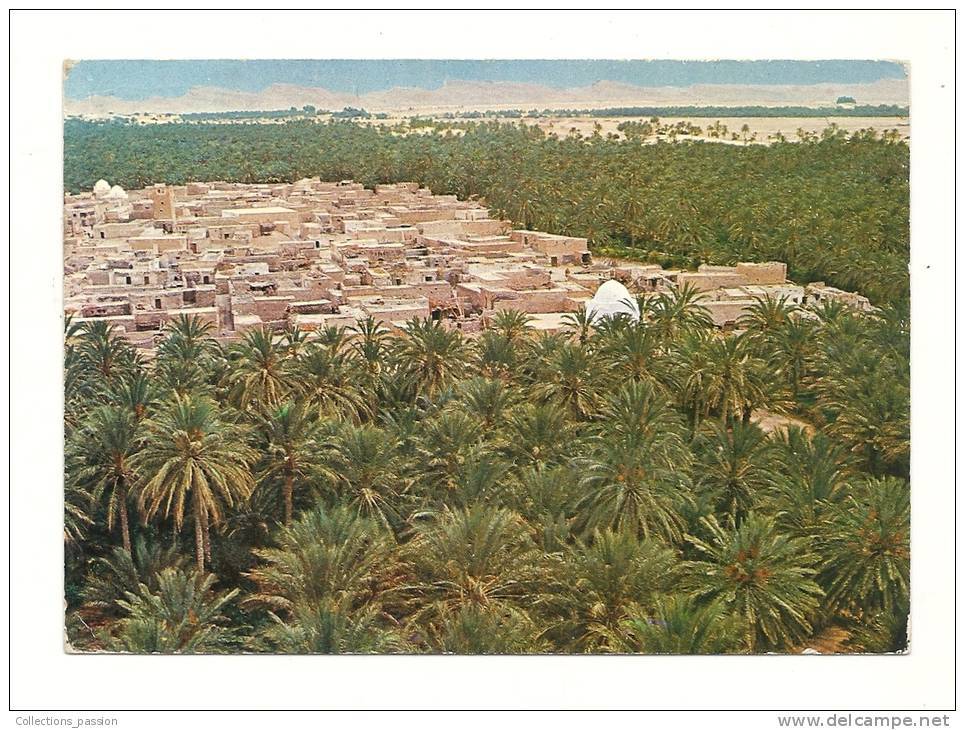 Cp, Tunisie, Tozeur, Vue Générale, Voyagée 1973 - Tunisie