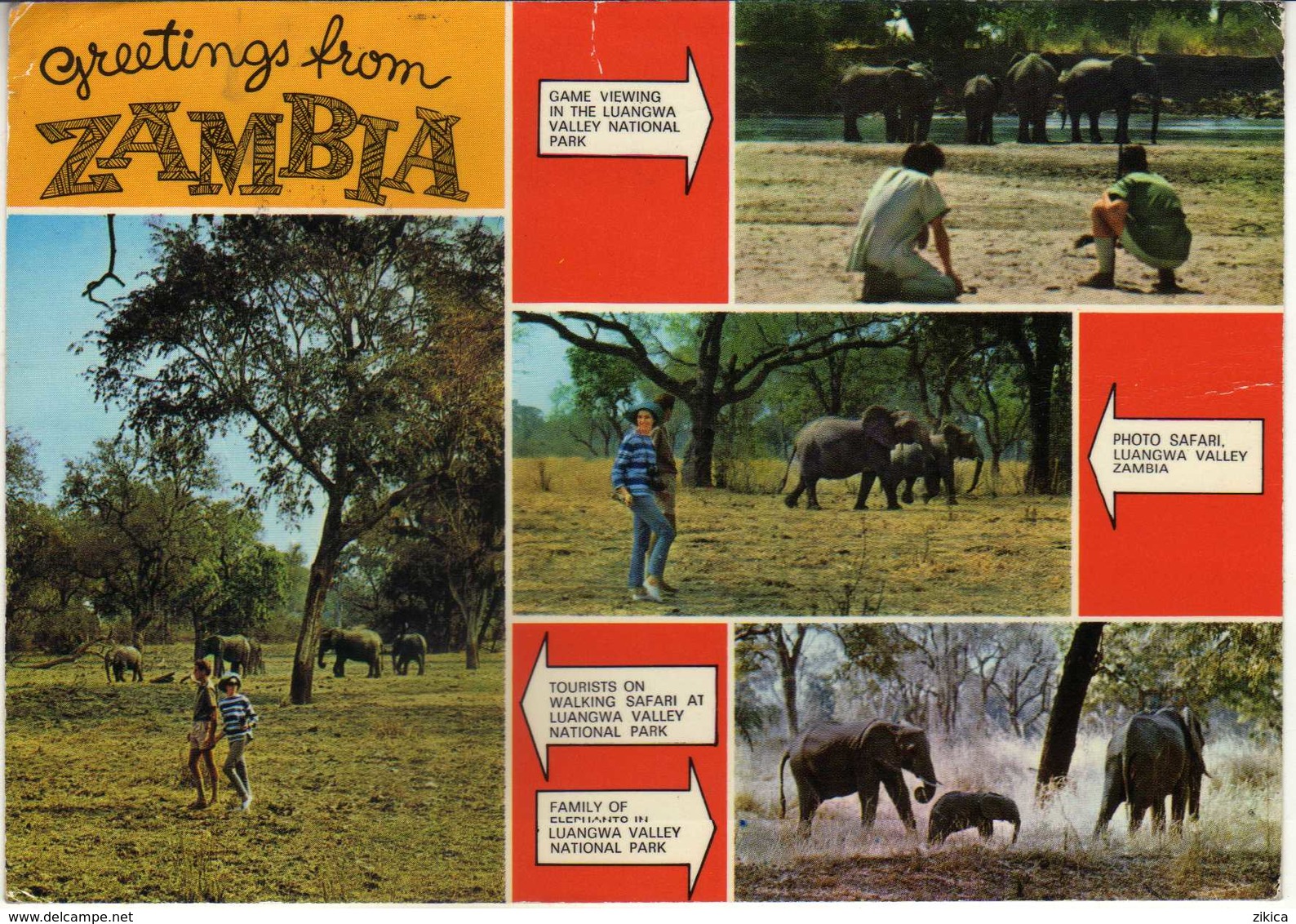 Zambia - Elephants/les éléphants/Elefanten - Zambie