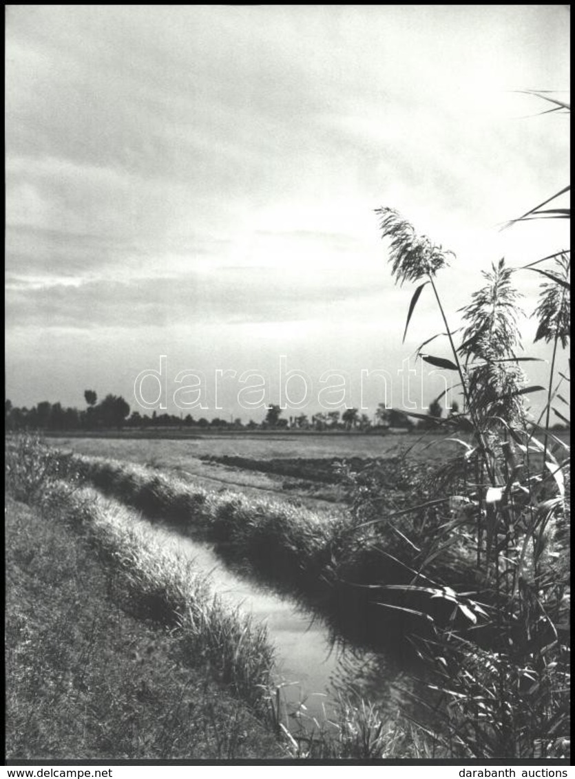 Berekméri Zoltán (1923-1988): Fény A Táj Felett, Feliratozott Fotóművészeti Alkotás, 40×30 Cm - Sonstige & Ohne Zuordnung