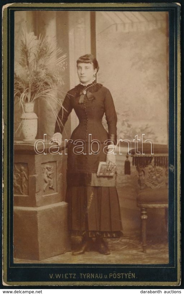 Cca 1880 Fiatal Asszony Könyvvvel, Műtermi Fotó Wietz Pöstyéni Műterméből, Vizitkártya - Other & Unclassified