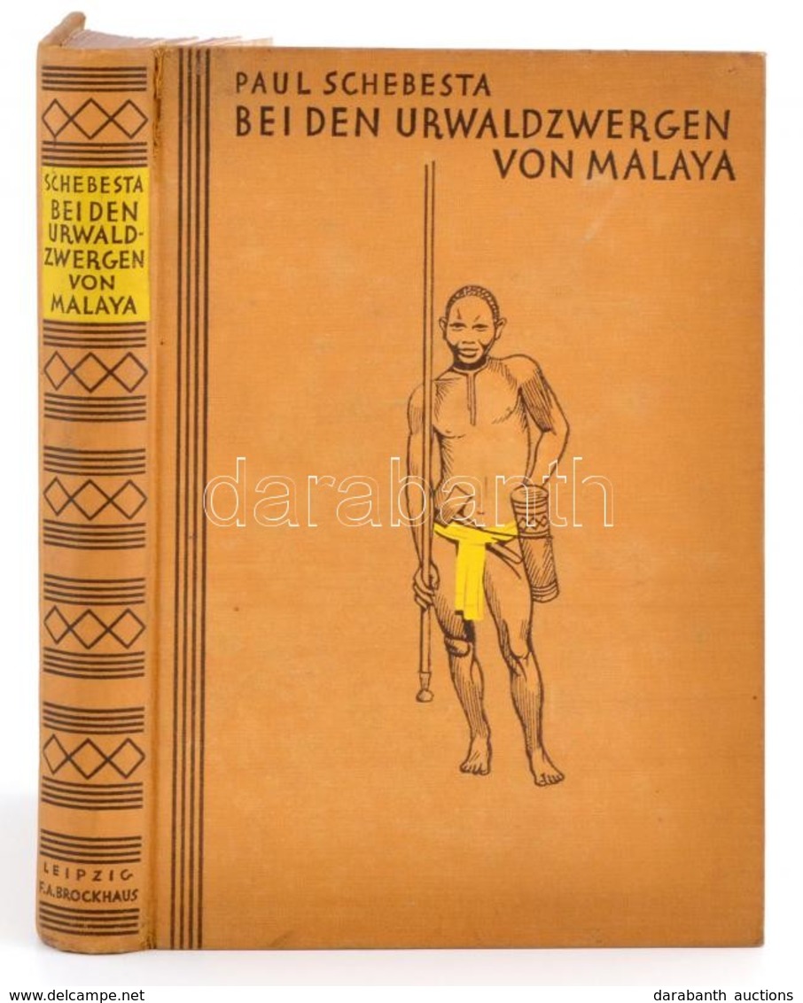 Paul Schebesta: Bei Den Urwaldzwergen Von Malaya. Leipzig, 1927, F. A. Brockhaus. Első Kiadás. Német Nyelven. Színes Tér - Unclassified