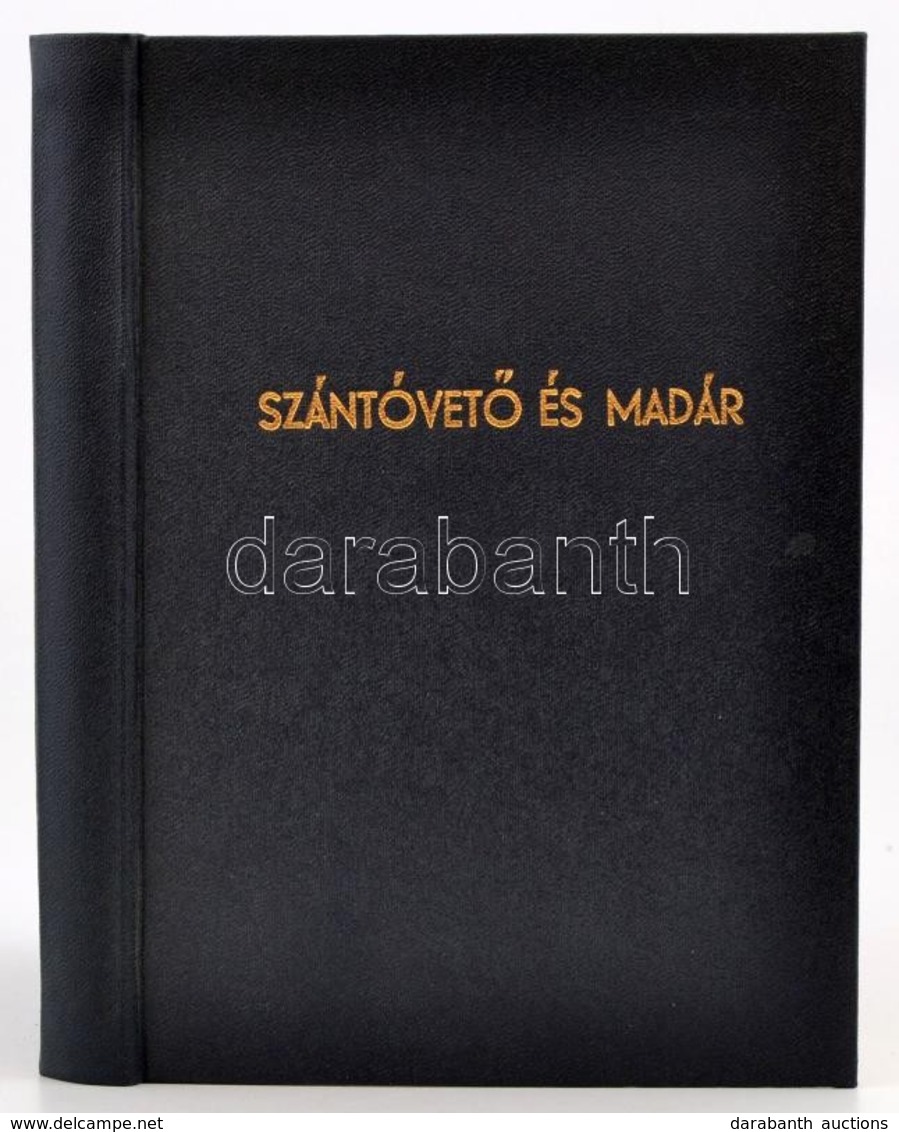 Herman Ottó: A Madarak Hasznáról és Káráról. [Bp.,1904, Franklin-ny.], 3-326+2 P. Második, Bővített Kiadás. Átkötött Mod - Ohne Zuordnung