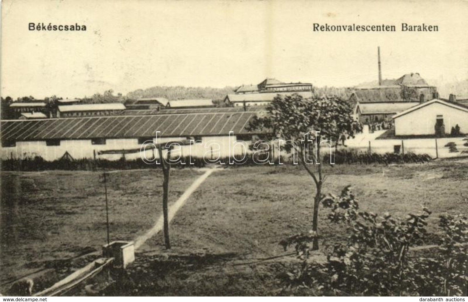 T3 1916 Békéscsaba, K.u.K. Katonai Lábadozó Barakkok. Tevan Adolf Kiadása / Rekonvaleszenten Baraken (fa) - Unclassified