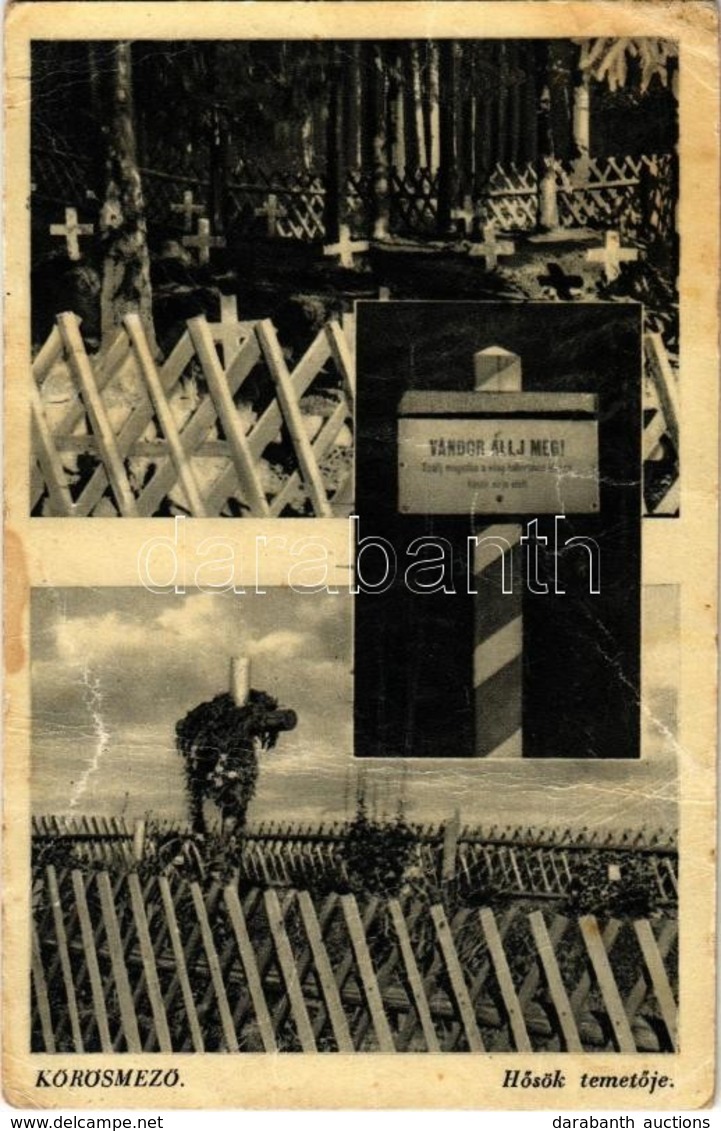 T3/T4 1941 Kőrösmező, Jaszinya, Jasina, Yasinia; Hősök Temetője 'Vándor állj Meg!' Tábla / Military Heroes Cemetery  (fa - Ohne Zuordnung