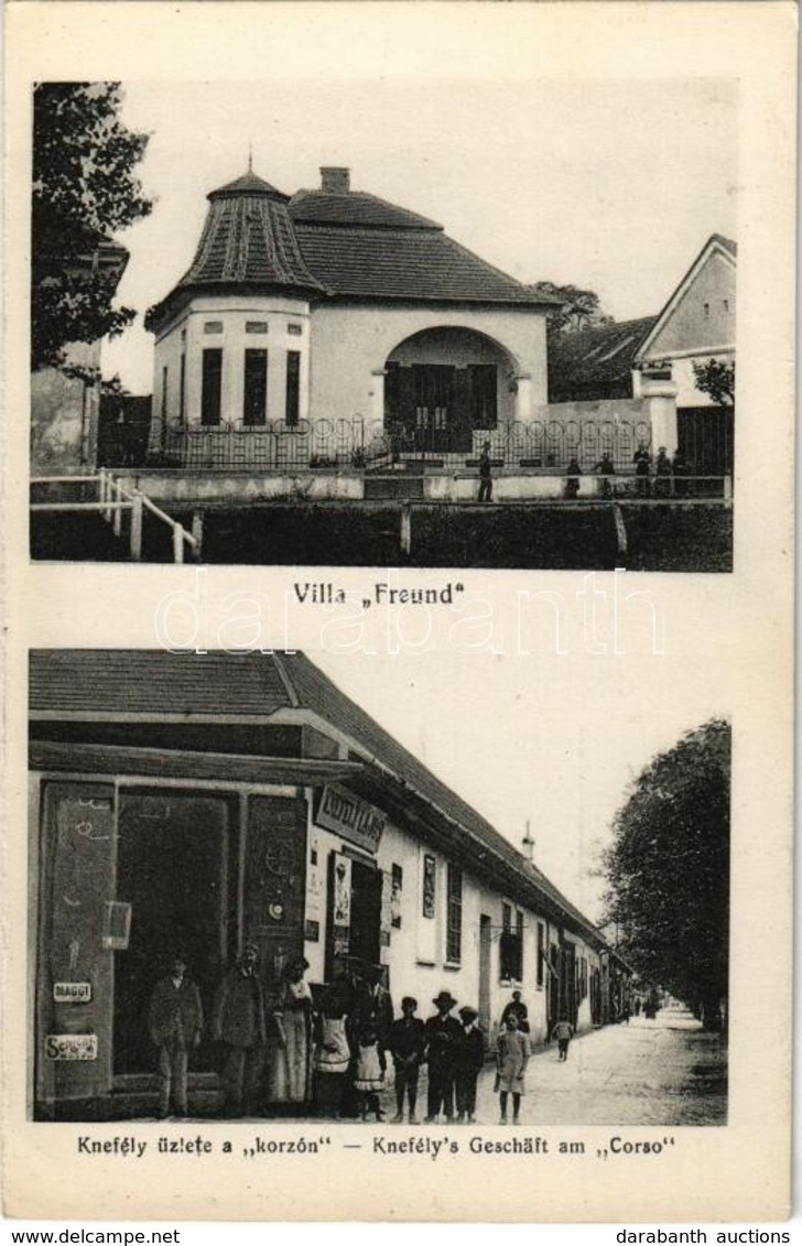 ** T1/T2 Cservenka, Crvenka; Freund Villa, Knefély Lajos üzlete A Korzón / Villa, Shop (képeslapfüzetből / From Postcard - Ohne Zuordnung