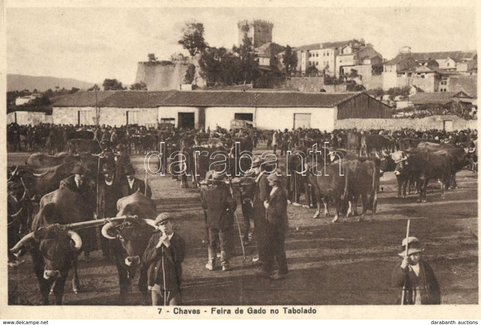 ** T2 Chaves, Feira De Gado No Tabolado / Cattle Fair - Other & Unclassified