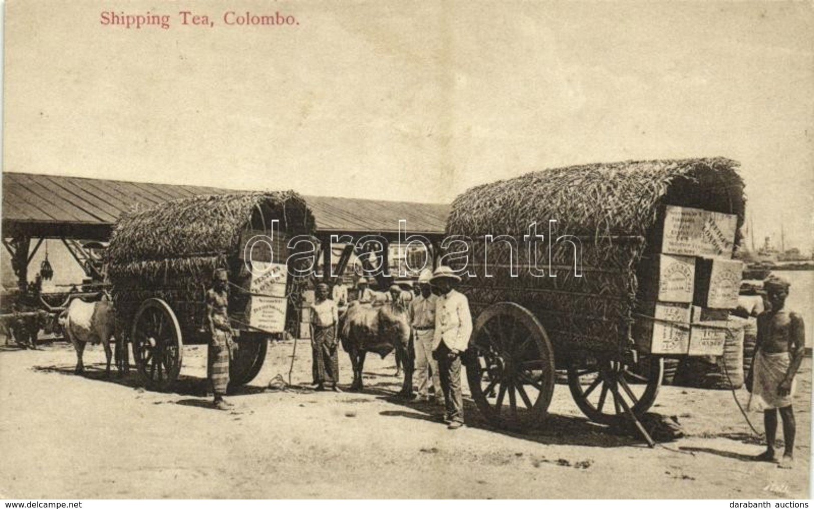 ** T1 Colombo, Shipping Tea, Natives With Ox Carts, Folklore - Otros & Sin Clasificación