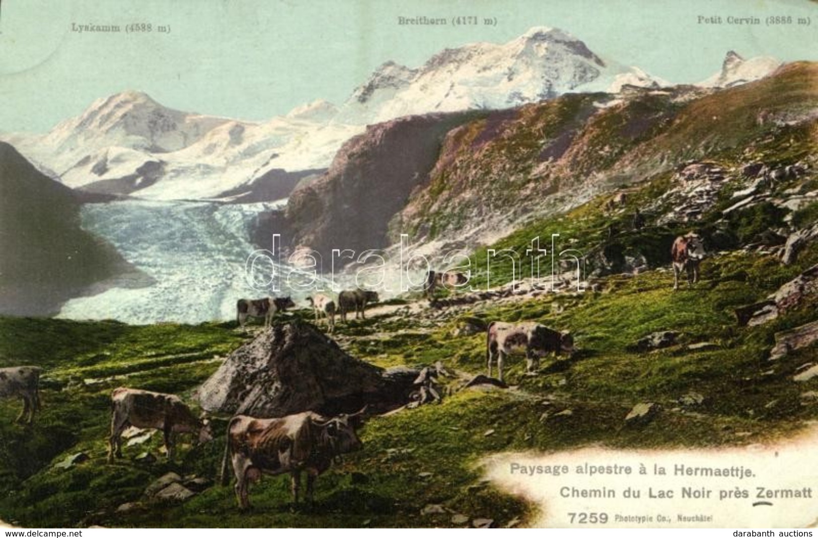 * T2/T3 Zermatt, Chemin Du Lac Noir (EK) - Sonstige & Ohne Zuordnung