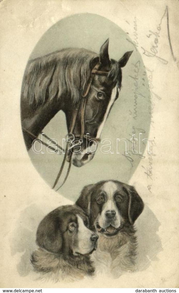 T2/T3 1910 Dogs With Horse. Mary Mill Nr. 1507. (fa) - Ohne Zuordnung