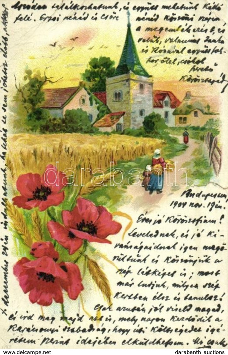 T4 1904 Landscape With Poppy Flowers. Litho (tear) - Ohne Zuordnung