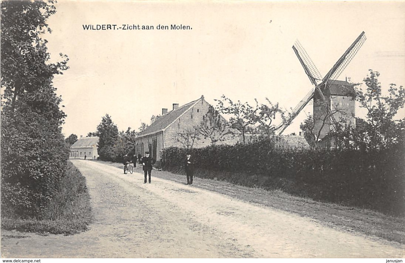 BB181 Wildert Zicht Aan Den Molen 1913 - Brecht