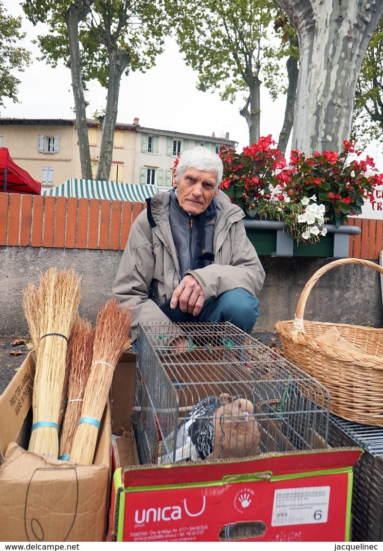 - 31 - Bessières (31) - Carte Postale Moderne - Marché - Métier - Agriculteur - 8.975 - Altri & Non Classificati