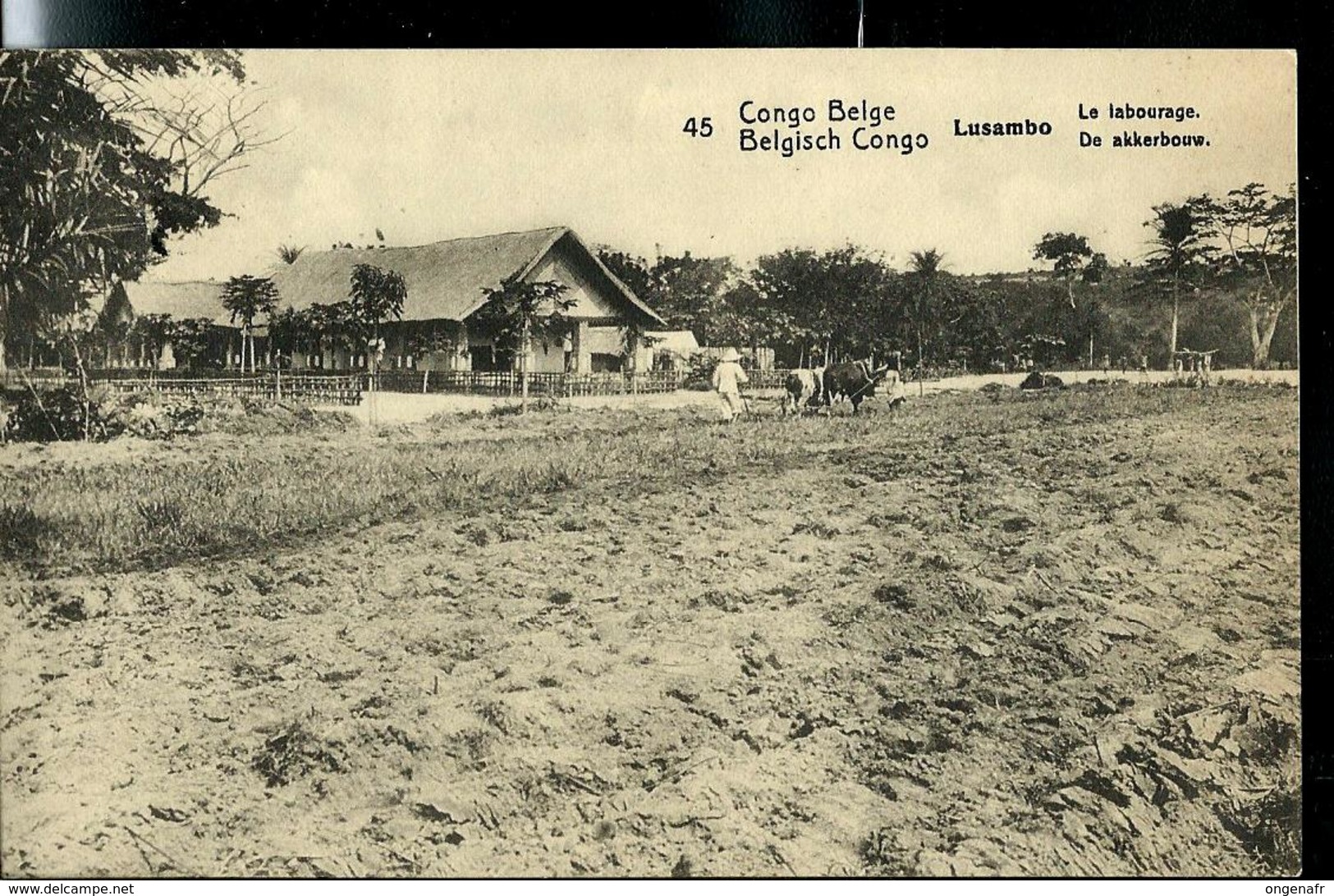 Carte N° 53. Vue 45  Lusambo - Le Labourage - De Akkerbouw   Obl. : Elisabethville 1922 - Postwaardestukken