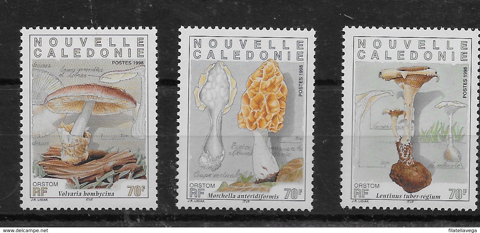 Serie De Nueva Caledonia Nº Yvert 749/51 ** SETAS (MUSHROOMS) - Unused Stamps