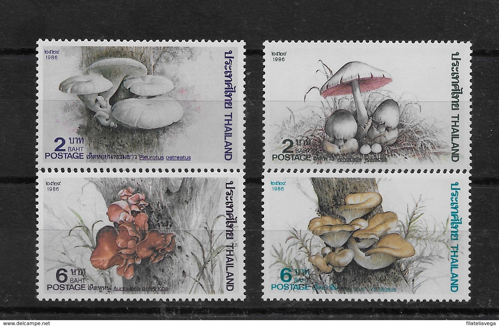 Serie De Tailandia Nº Yvert 1161/64 ** SETAS (MUSHROOMS) - Tailandia