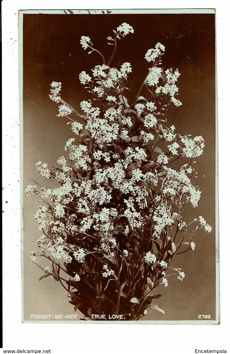 CPA-Carte Postale-Royaume Uni- Forget Me Not- True Love-1906-VM9655 - Flowers