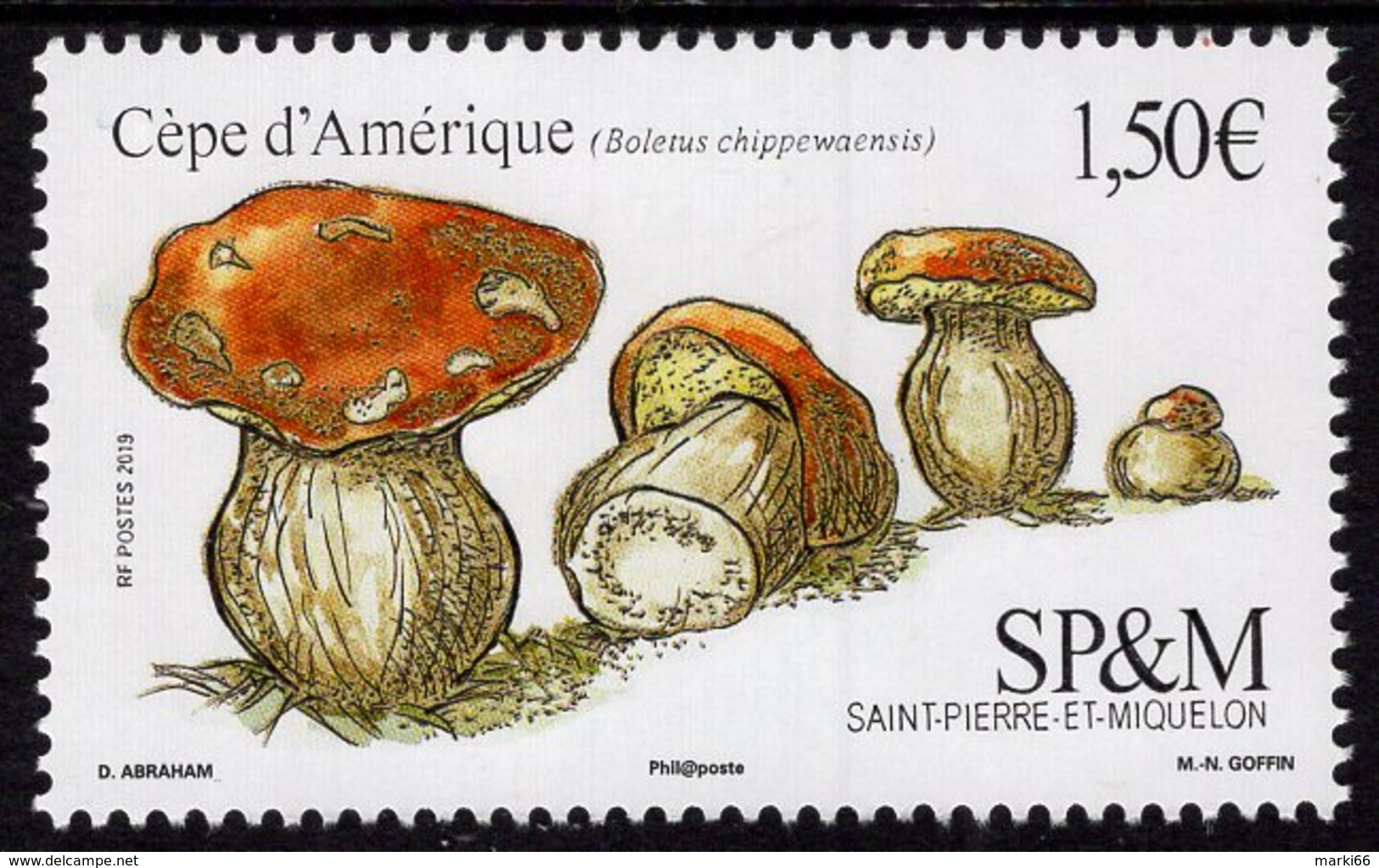 St. Pierre & Miquelon - 2019 - Mushrooms - Boletus Chippewaensis - Mint Stamp - Unused Stamps